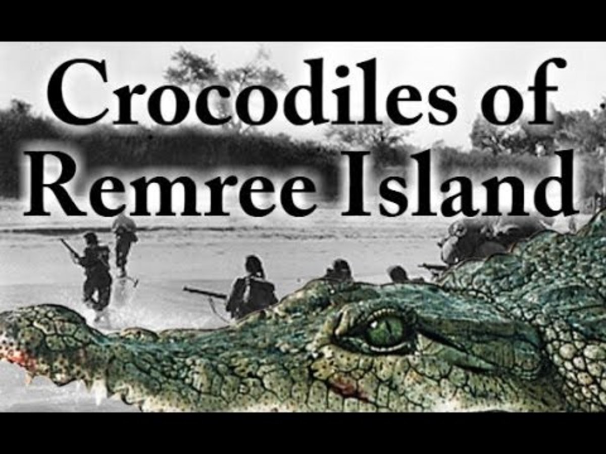 the-saltwater-crocodile-and-the-imperial-army-in-burma