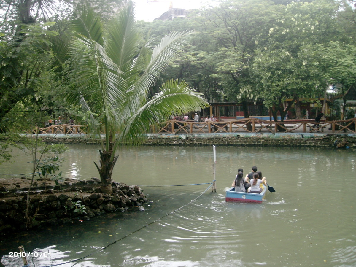 manila-zoo-the-oldest-zoo-in-asia