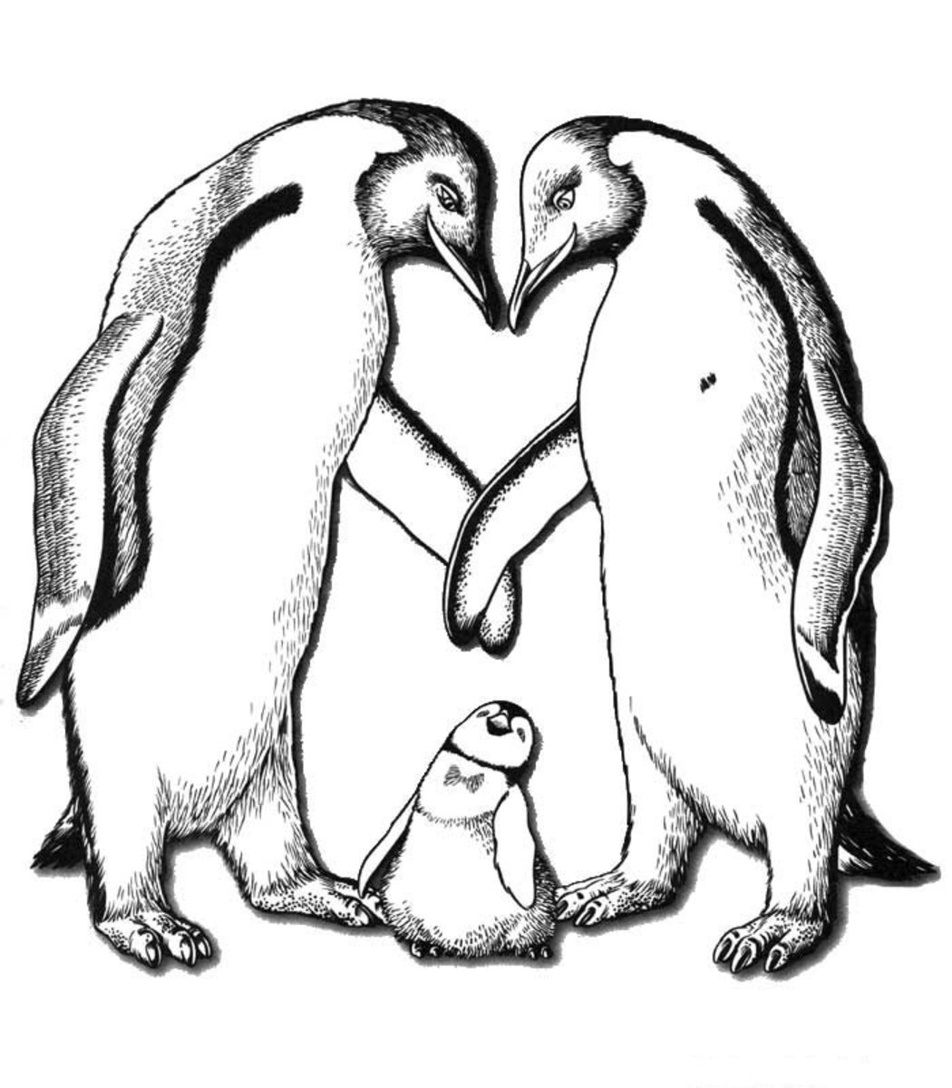 Два пингвина раскраска