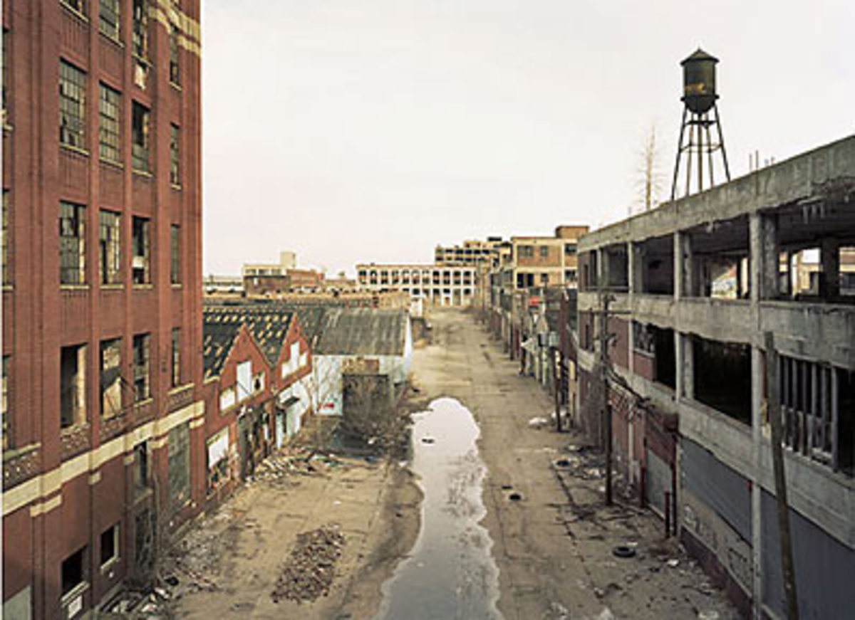 THE RUINS OF DETROIT