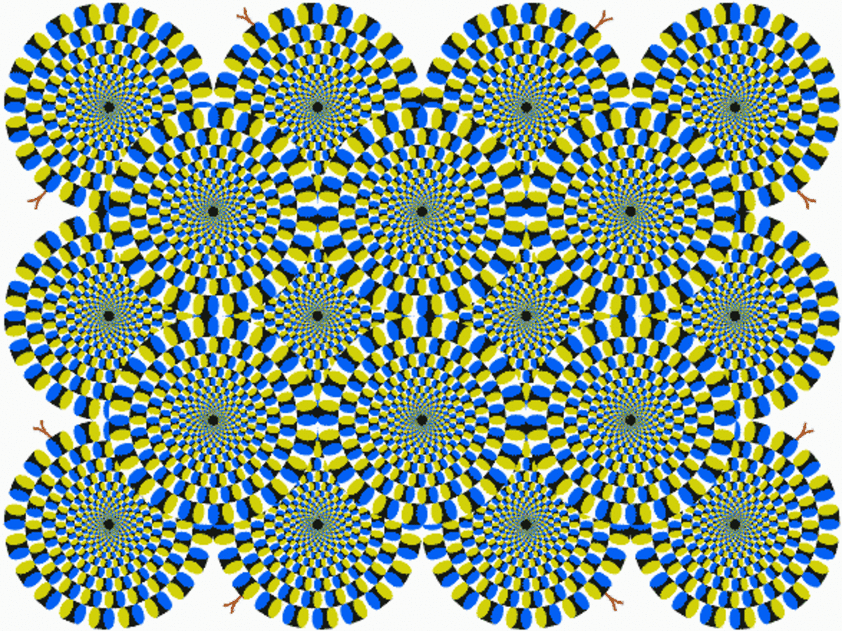 real-optical-illusions