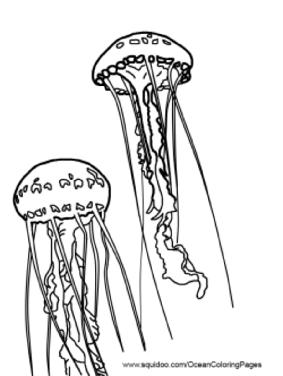 Jellyfish Coloring Pages