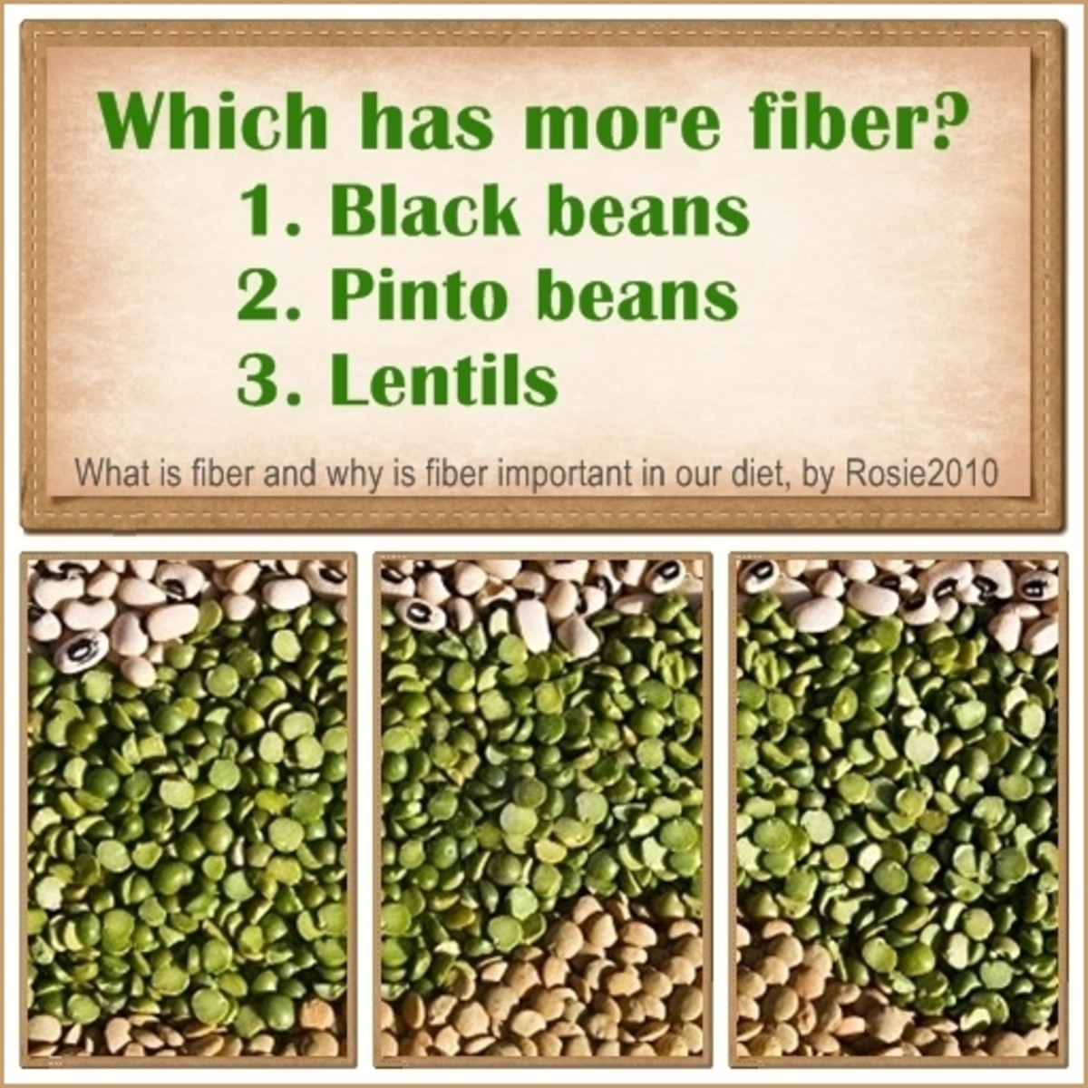 What is Fiber and Why is Fiber Important in our Diet, by Rosie2010 - Answer: #2 Pinto beans