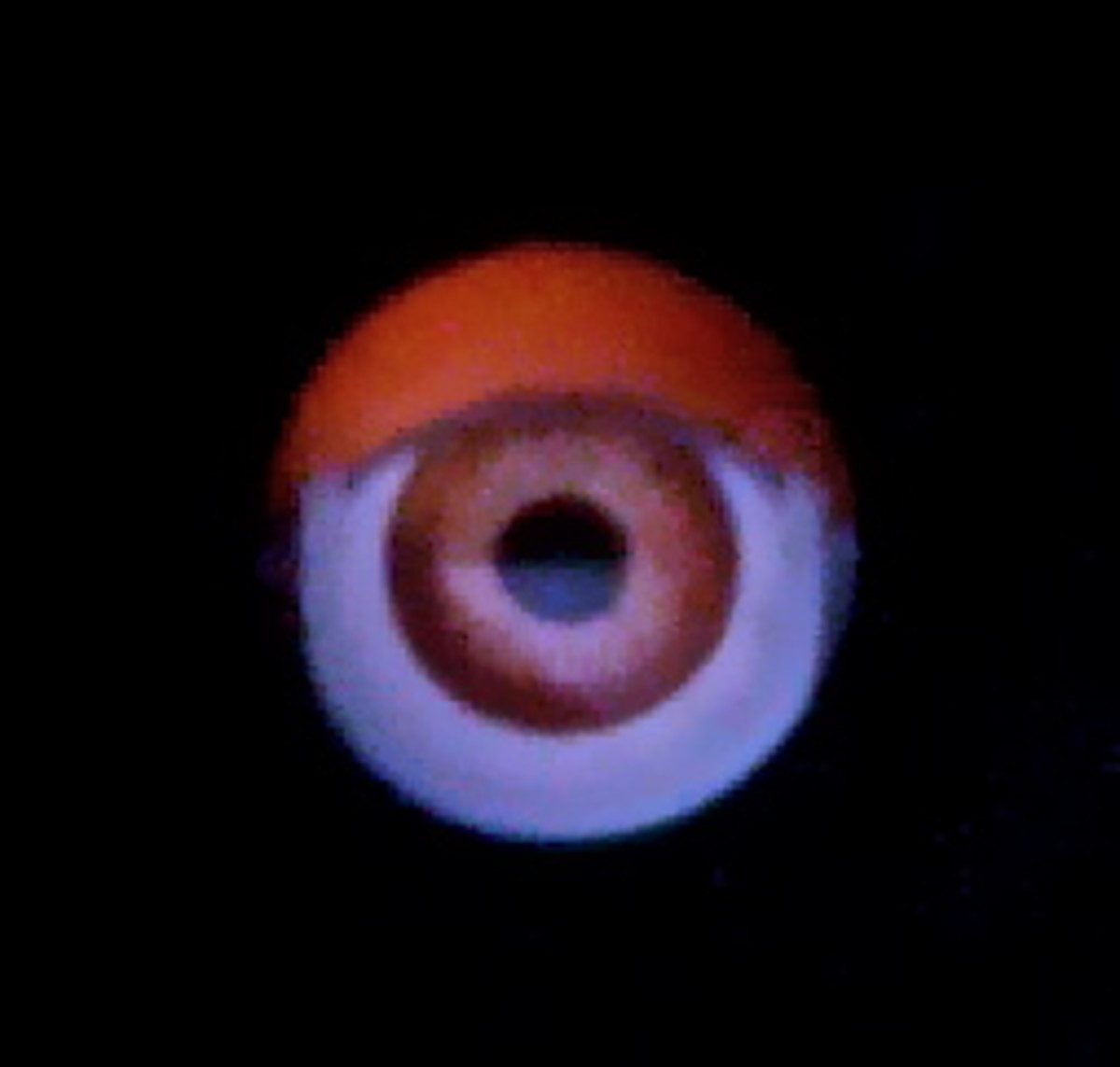 Ventriloquist's Dummies HubPages