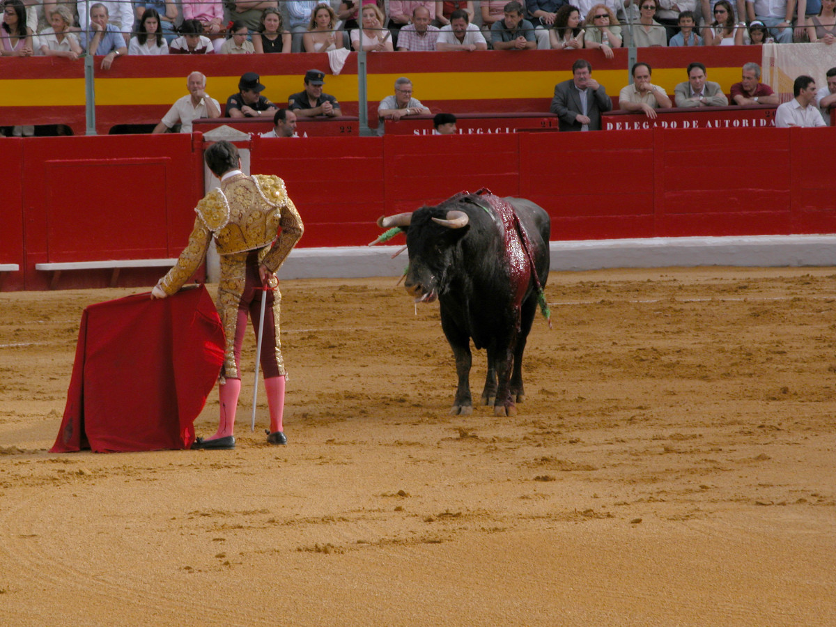 a-bullfight-in-spain