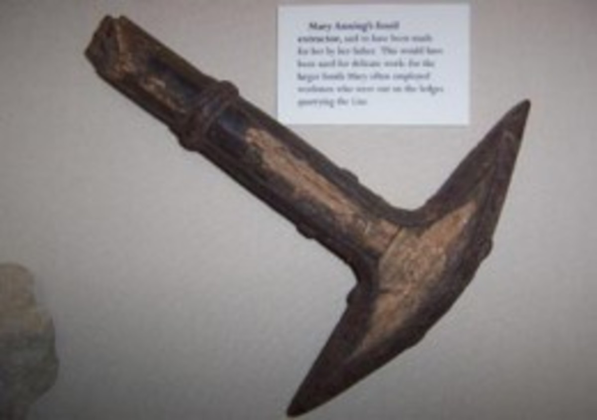 Mary Anning's fossil extractor