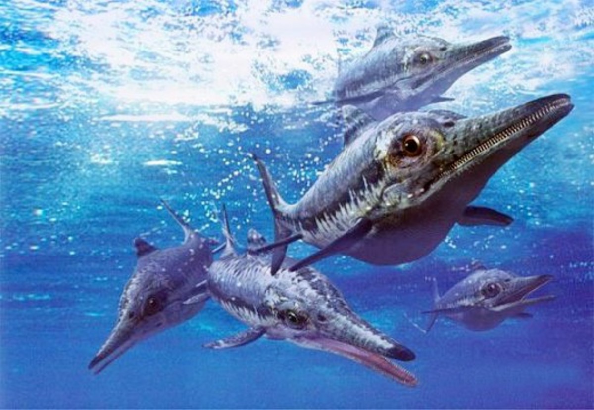 Ichthyosaurus 