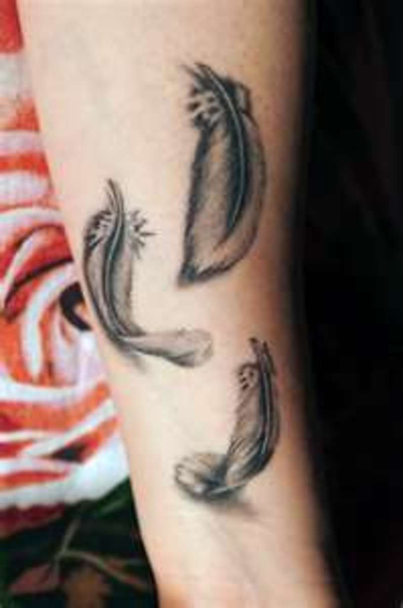 feather-tattoos