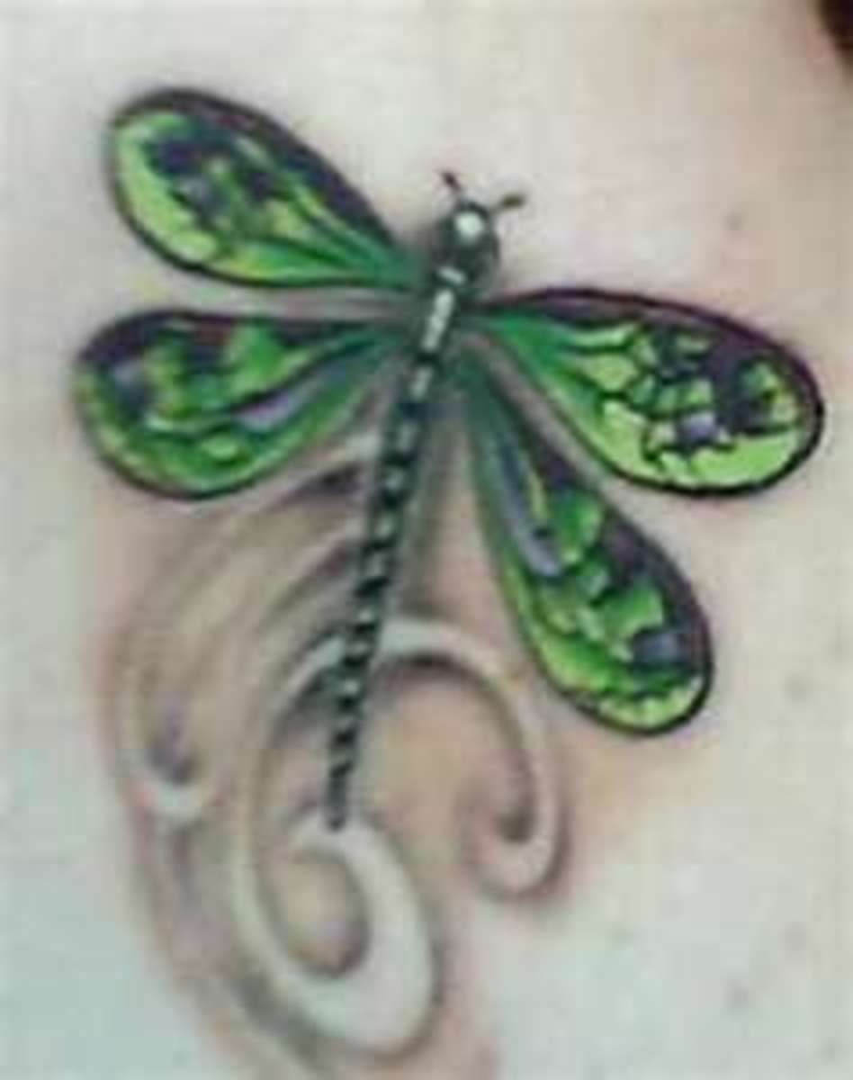 Small Pretty Dragonfly Tattoos