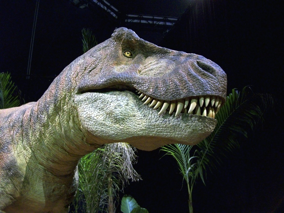A model of Tyrannosaurus rex "King of the Tyrant Lizards"