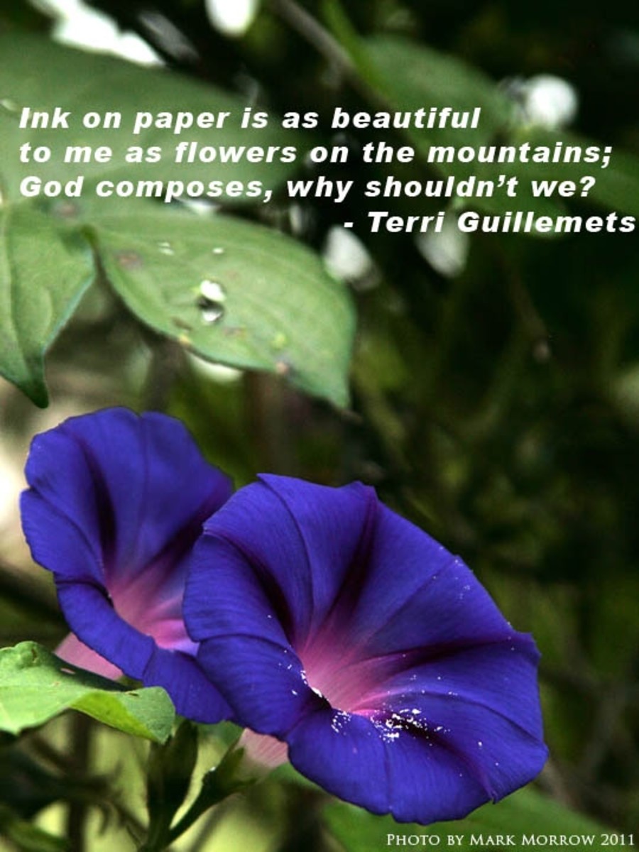 writing-quotes-guillemets