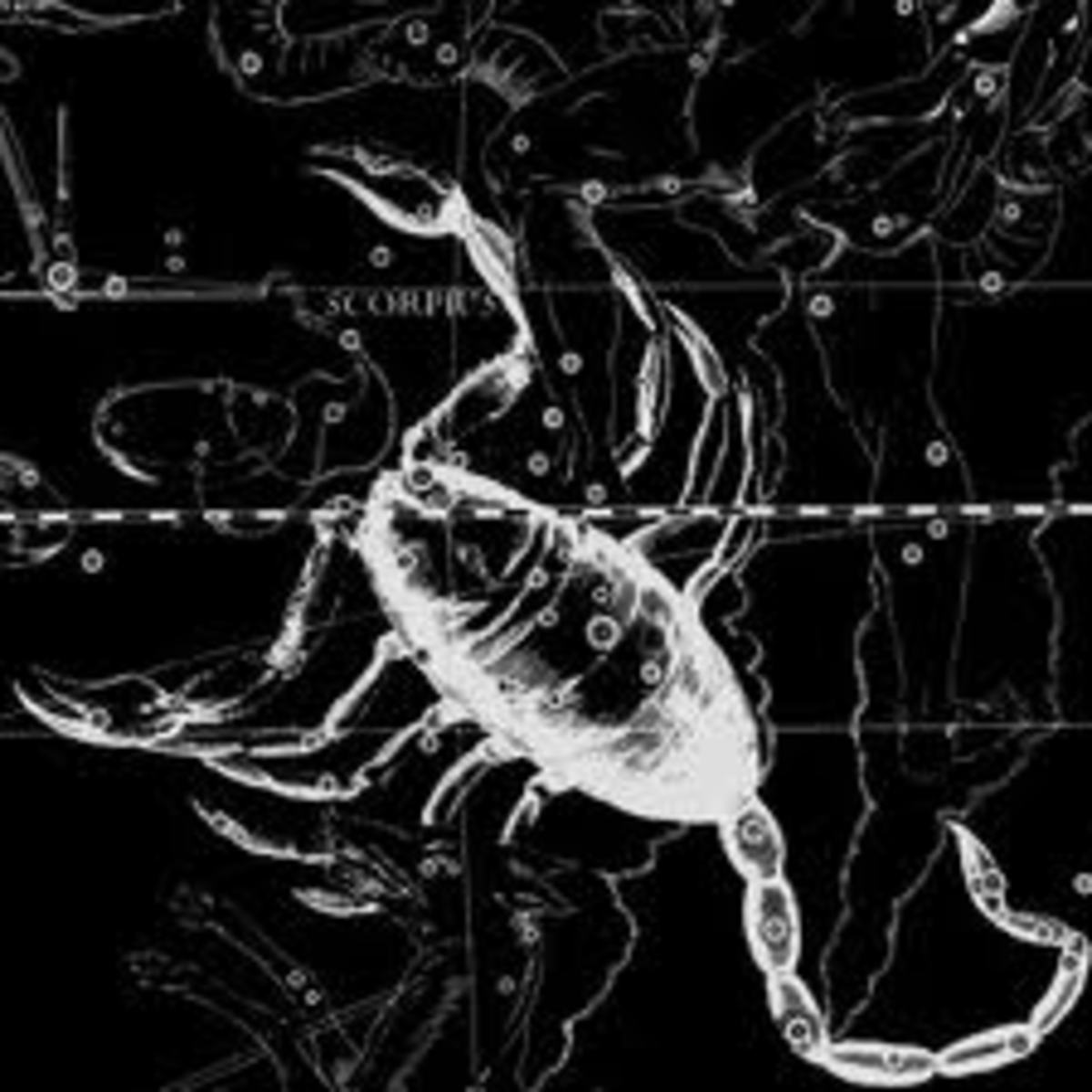 Scorpio is the 8th sign in the zodiac.It is ruled by Pluto. Pluto is associated with the underworld and the unseen. Scorpio is also a fixed water sign. Scorpios are highy instinctual, and not easily swayed once they believe in something.