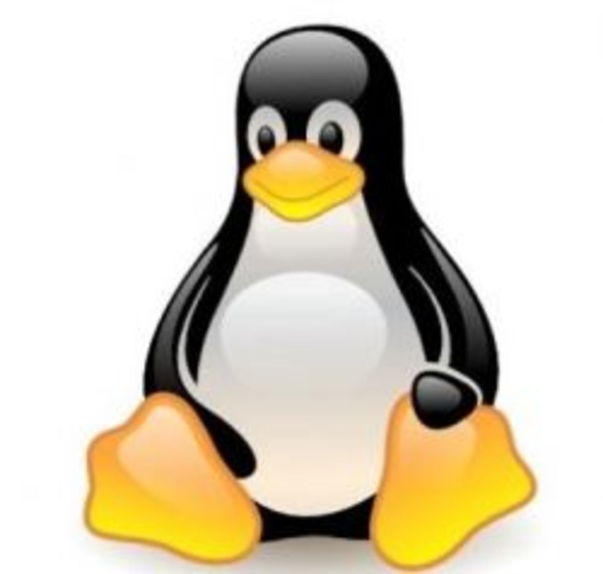 Puppy Linux alternative Linux operating system