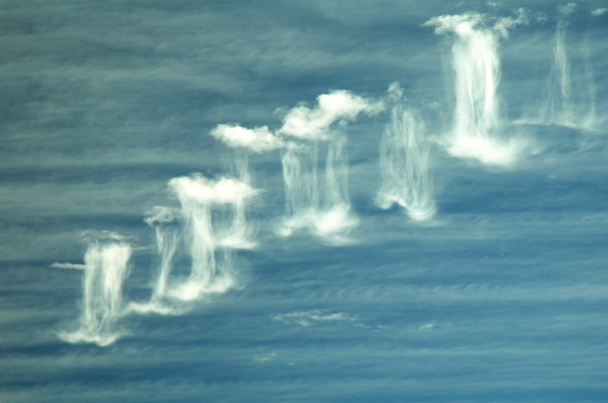 "Virga" clouds, also known as "tree clouds." Fascinating!