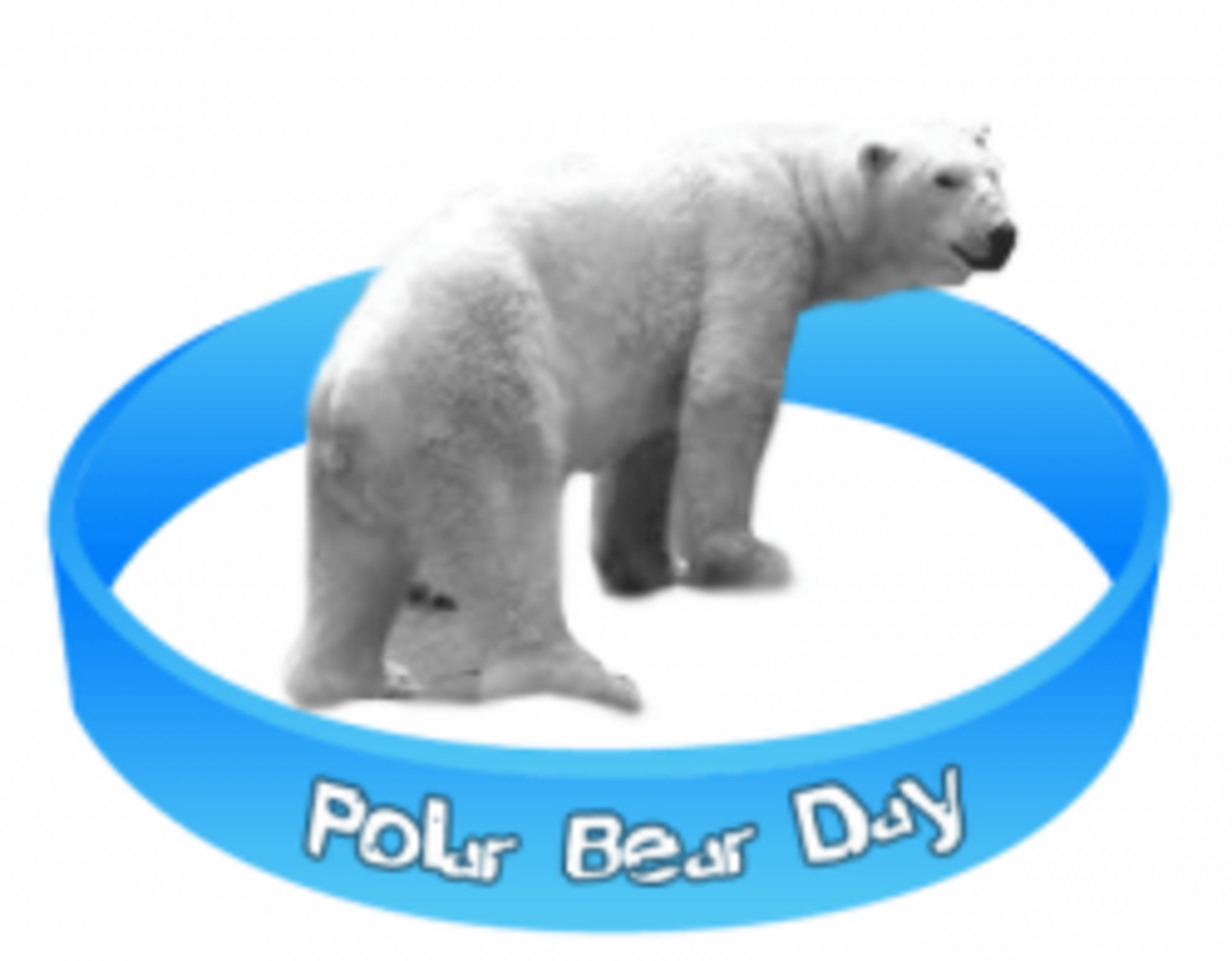 National Polar Bear Day