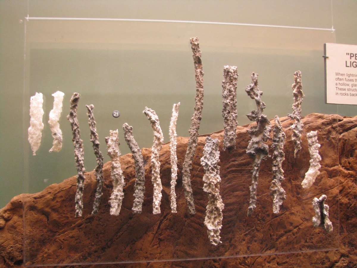 Some other examples of "Fulgurite" that was found on beaches. 