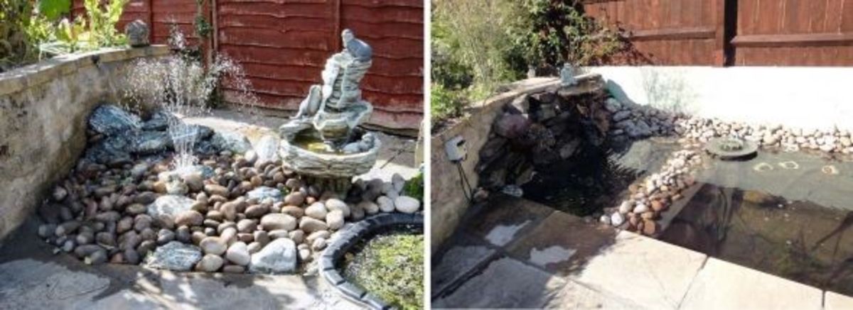 Before and after water features