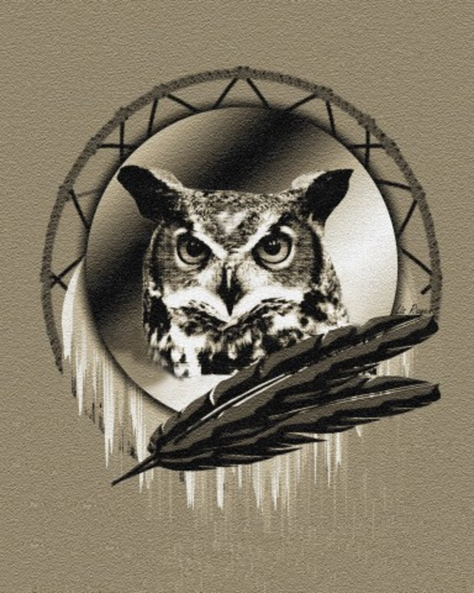 owl-truth-power-and-wisdom