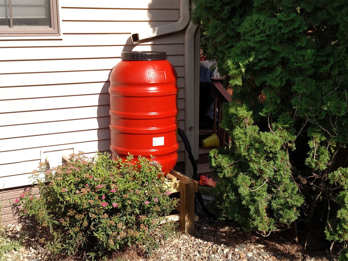 Rain barrels capture water from roofs and garages that can then be used later during dry spells.