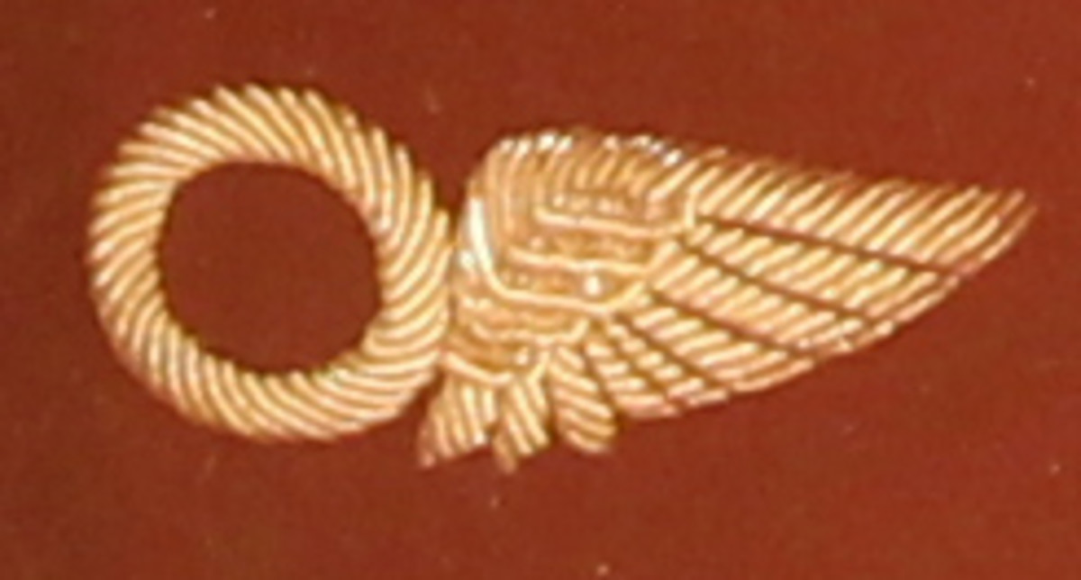 Simple but expressive insignia - "o" for observer and wing.  The "o" can (and did, in later versions) also represent a balloon, but this insignia was also originally used for observers in airplanes.