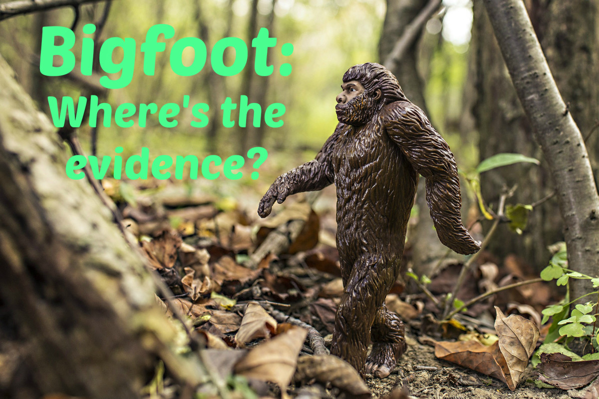 Is There Any Real Bigfoot Evidence?