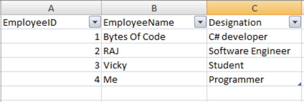 Example of Exported DataTable to Excel