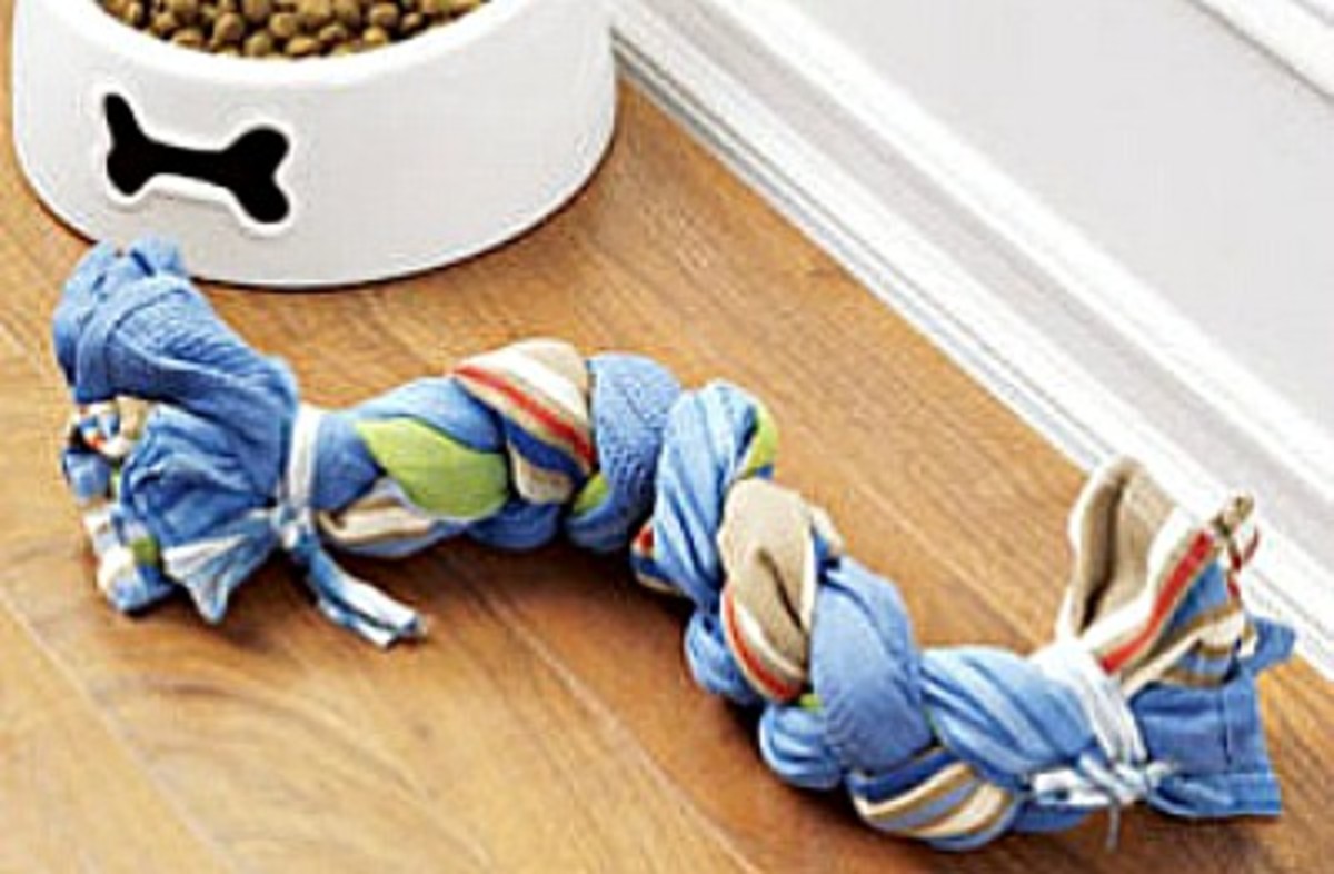 gifts-for-your-pet-pet-crafts