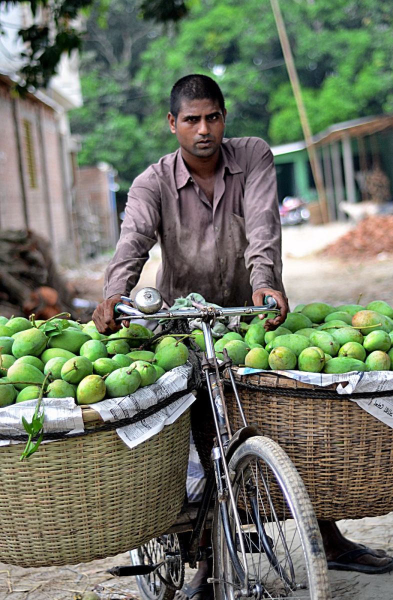 A man carrying about 100 KG of mangoes on his bicycle! Amazing!