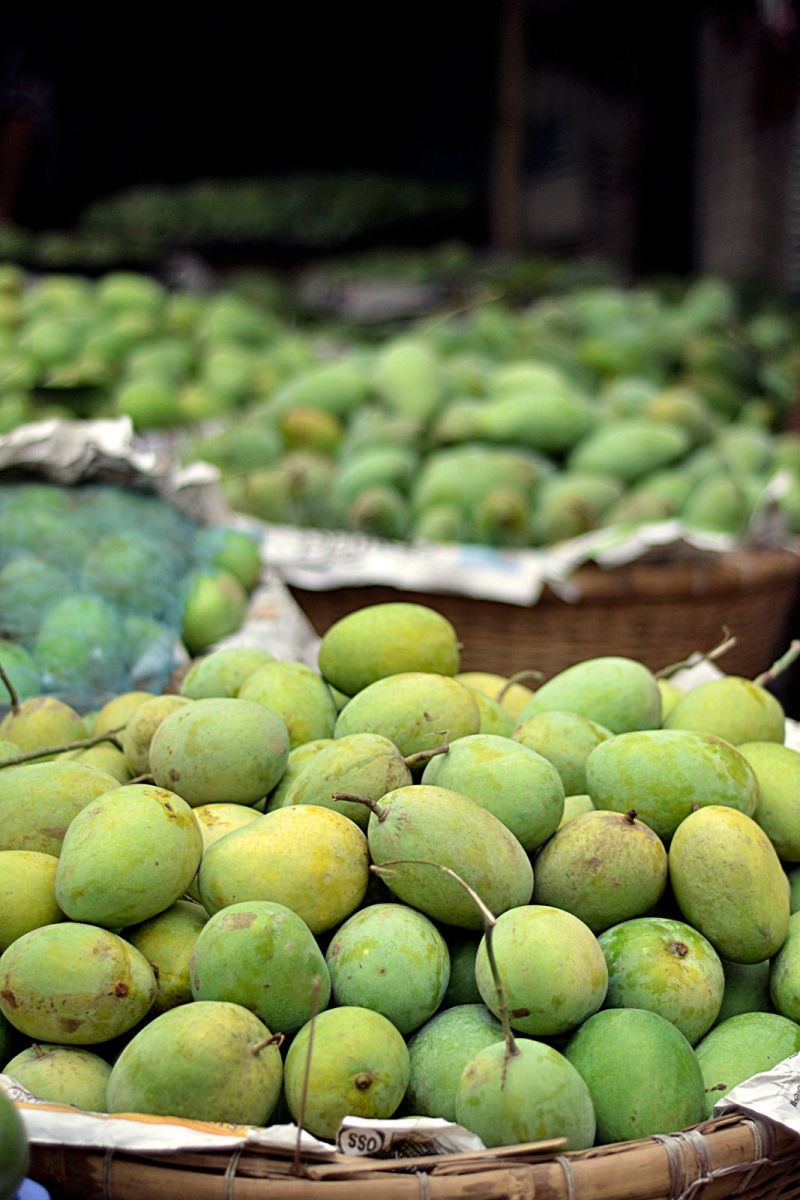 A visit to the local mango markets of Rajshahi or other such regions will amaze you as you will get to see a huge variety of mangoes in abandant display