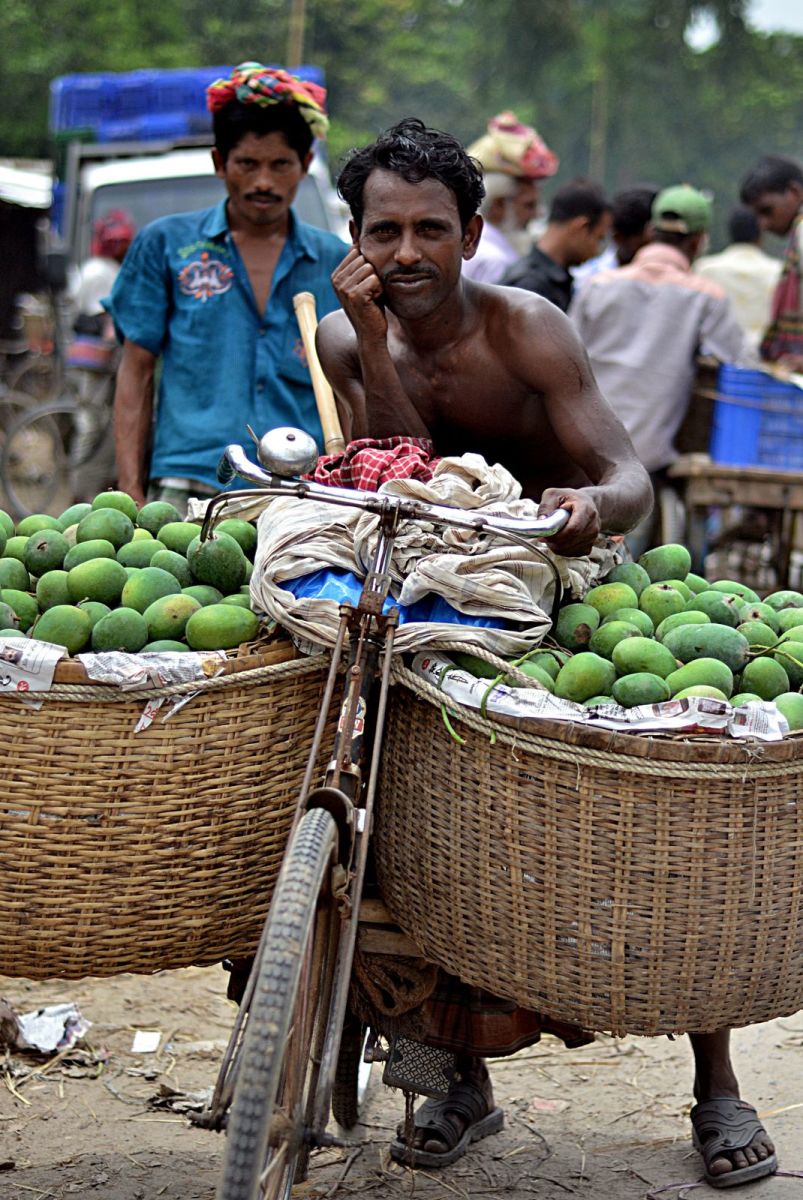 During the mango season, the locals use bicycles (modified to accommodate two large baskets) for carrying up to 100 KG of mangoes