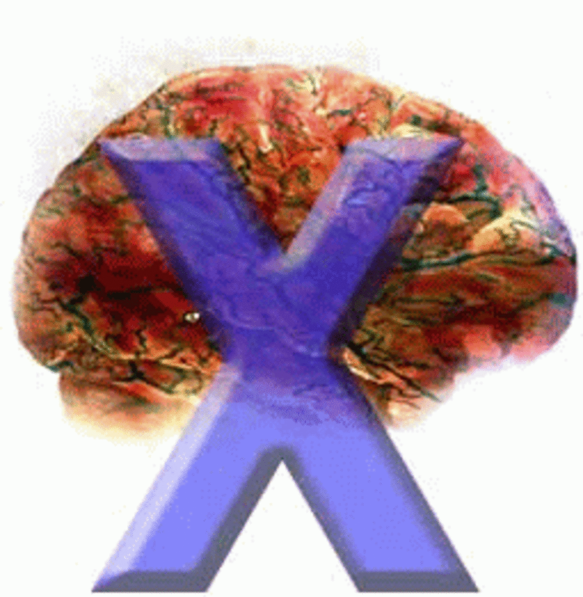 Fragile X logo