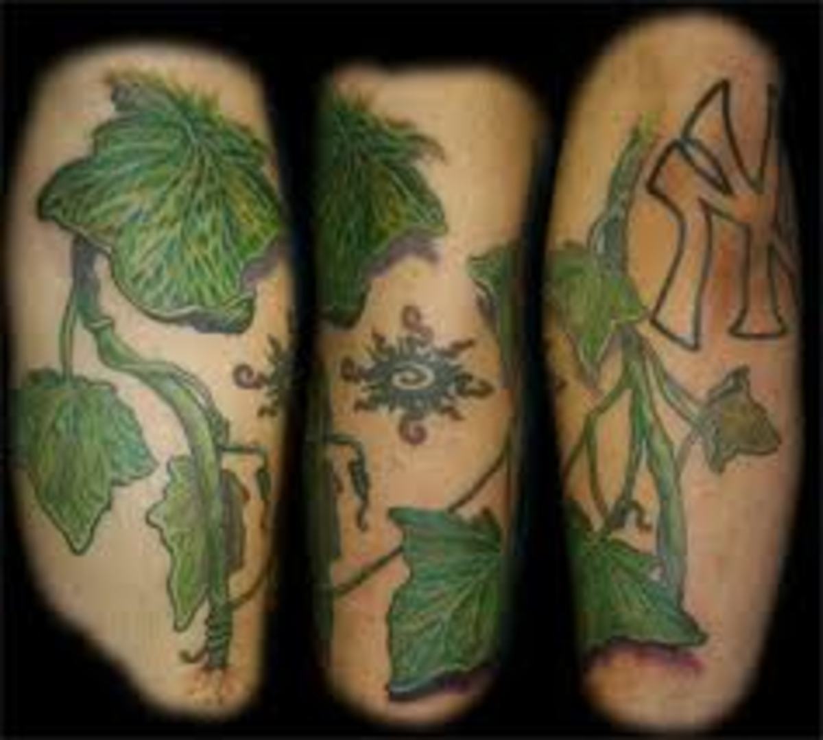Discover thousands of free ivy tattoos & designs. 
