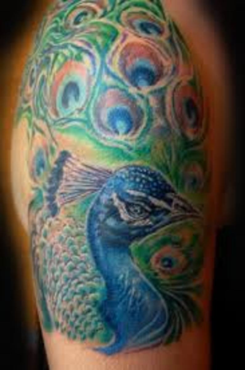 peacock-tattoos-and-meanings-peacock-feather-tattoos-and-meanings-peacock-tattoo-designs