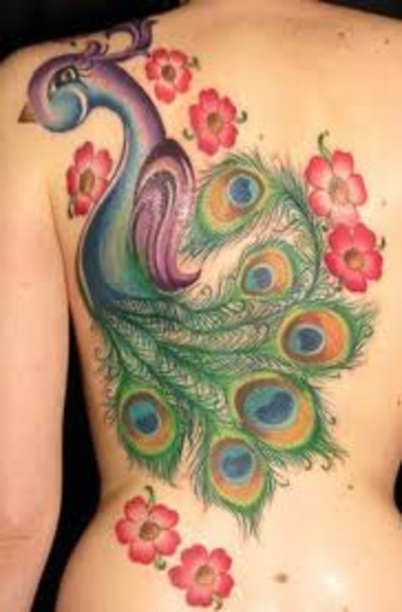 peacock-tattoos-and-meanings-peacock-feather-tattoos-and-meanings-peacock-tattoo-designs
