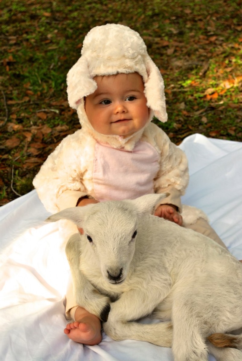 lamb-baby-costumes