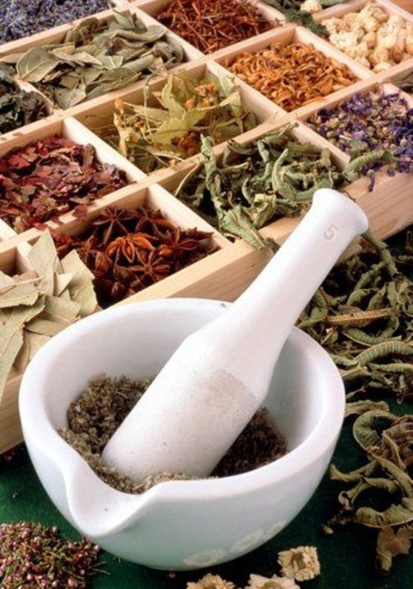 which-herbs-taste-best-with-what-foods