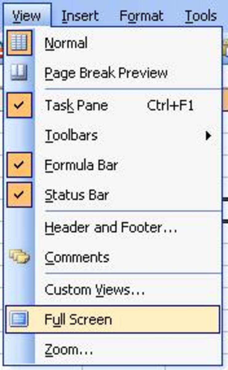 Working with the View Menu of Microsoft Office Excel 2003