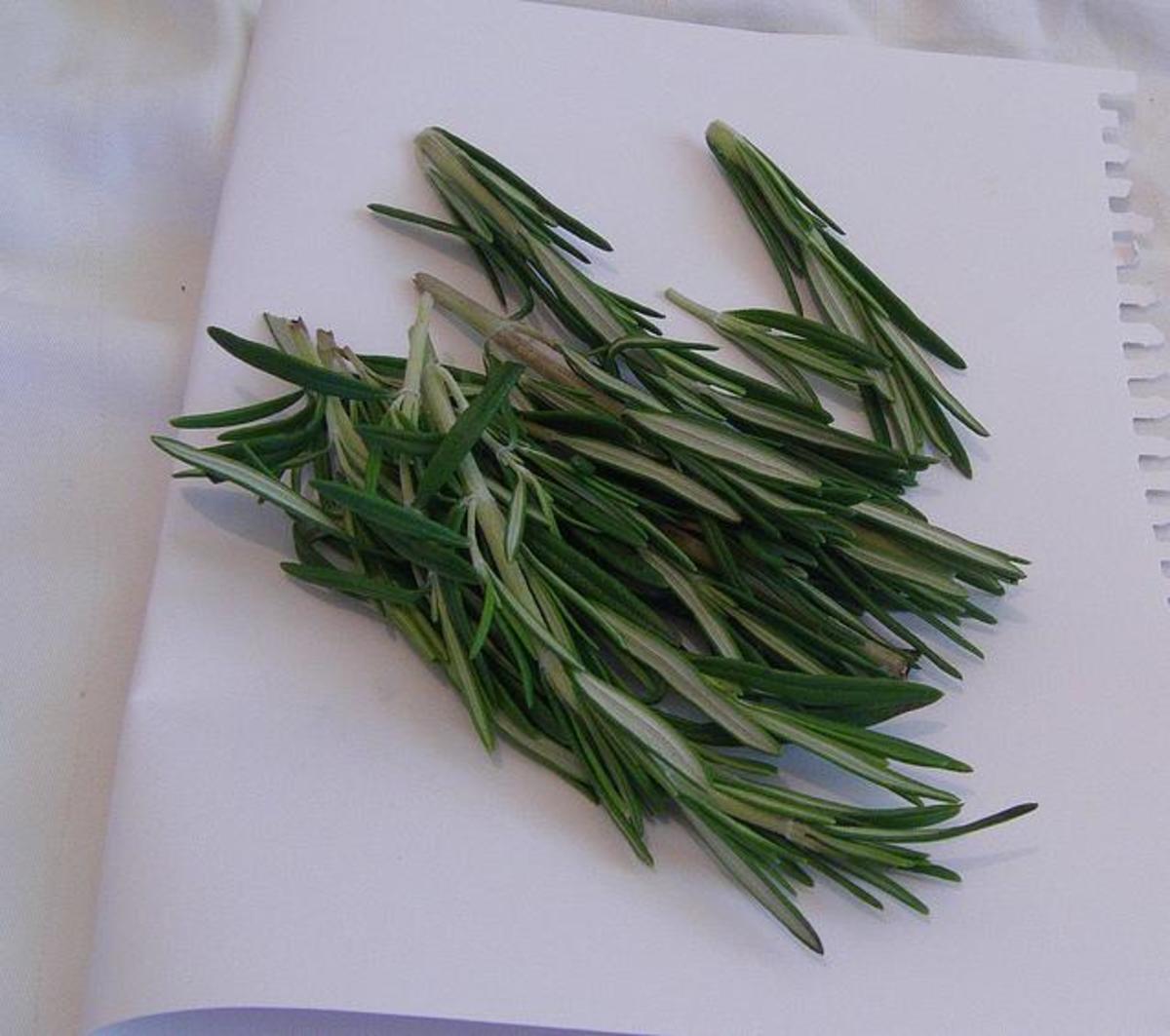 what-are-the-health-benefits-of-rosemary