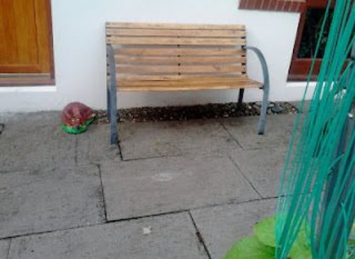 Come Sit By Me A While:Cutie Cammie.