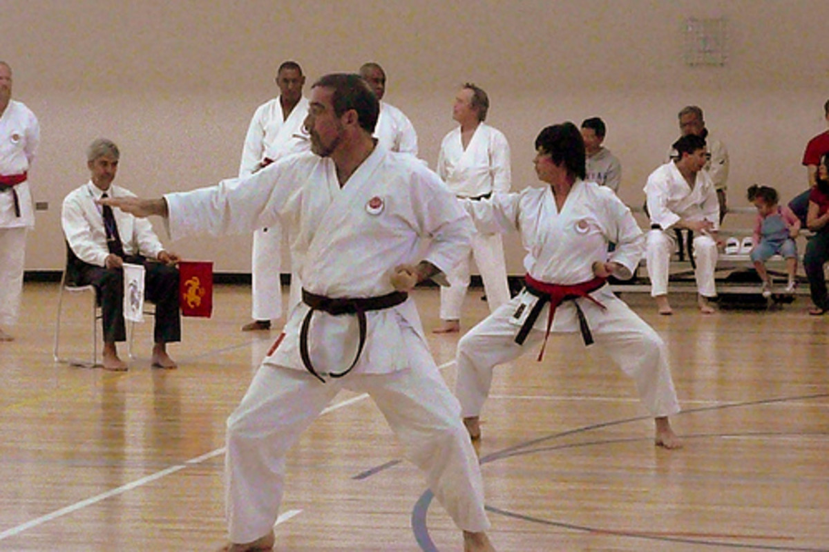 Differences Between Karate & Tae Kwon Do, A Crucial In-Depth Discussion