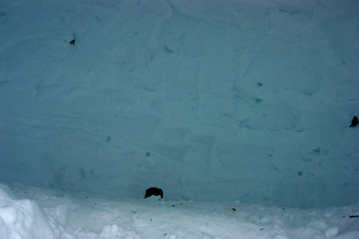 How to Build an Emergency Quinzee Snow Shelter HubPages