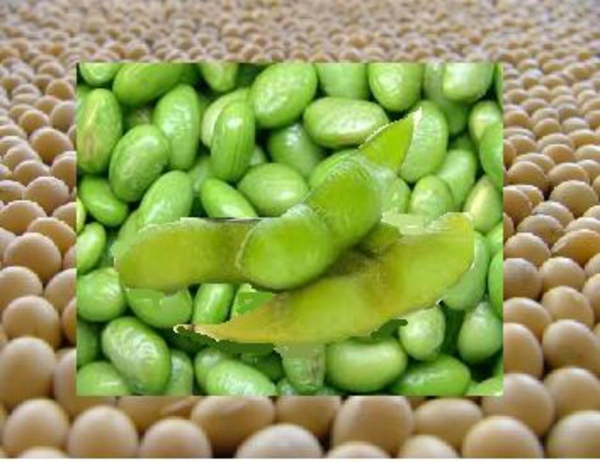 Healthy Foods For Health And Fitness GMO Good or Bad? HubPages