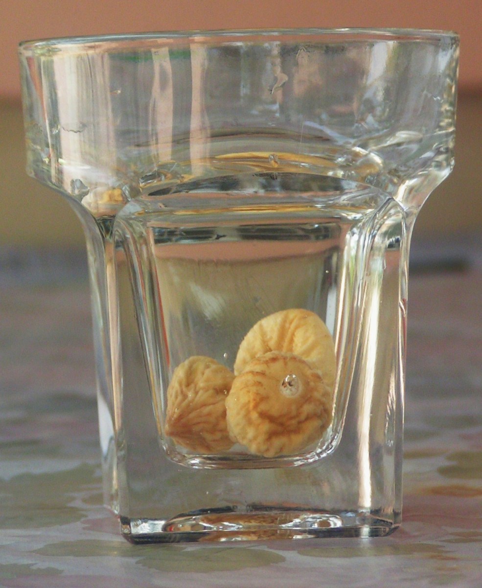 Natural Cure For Piles Using Dried Figs HubPages