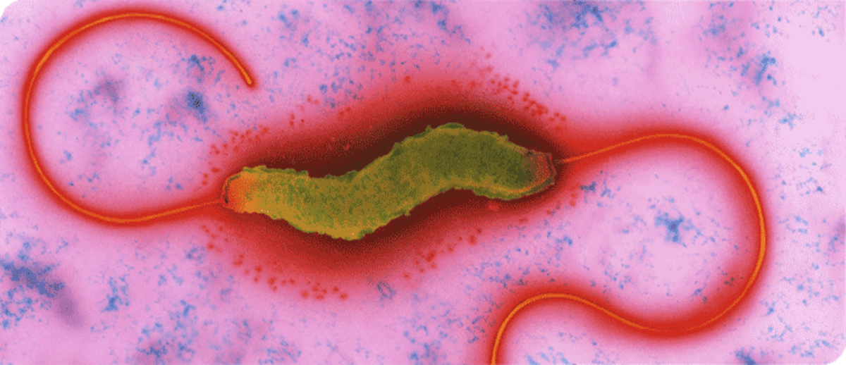 danger-zone-for-food-poisoning-bacteria