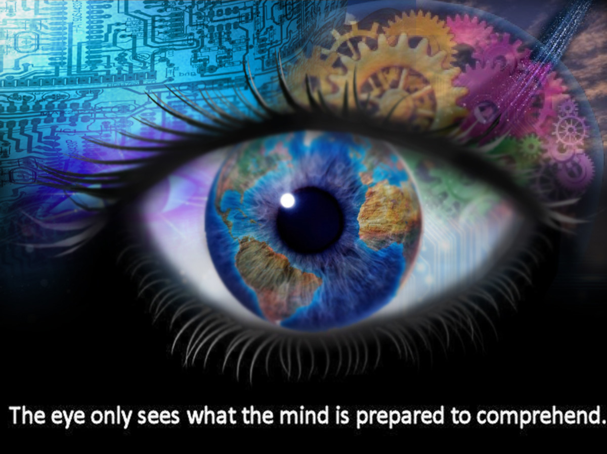 The eye only sees what the mind can comprehend