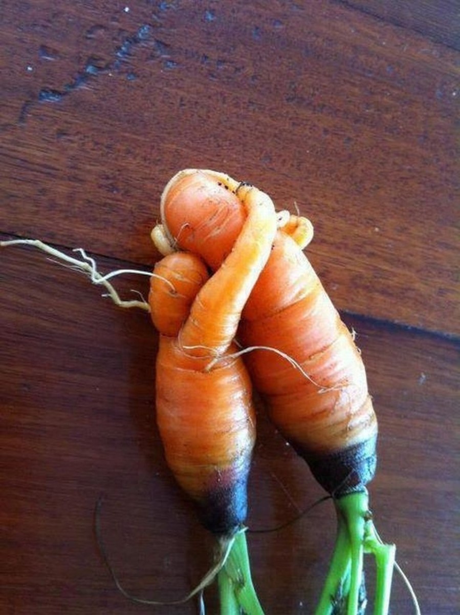 Love your carrots