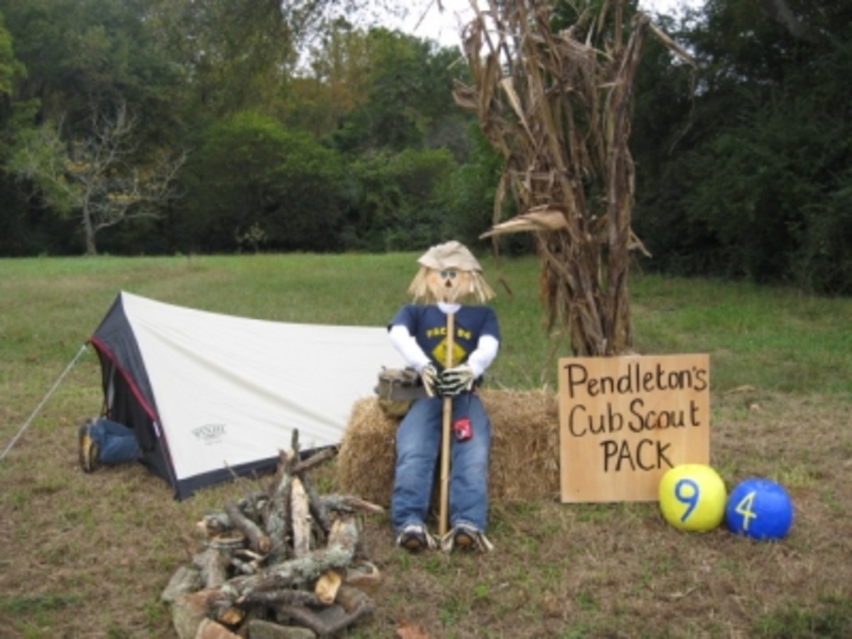 Cub Scout Pack 94 - Camp Out - WINNER