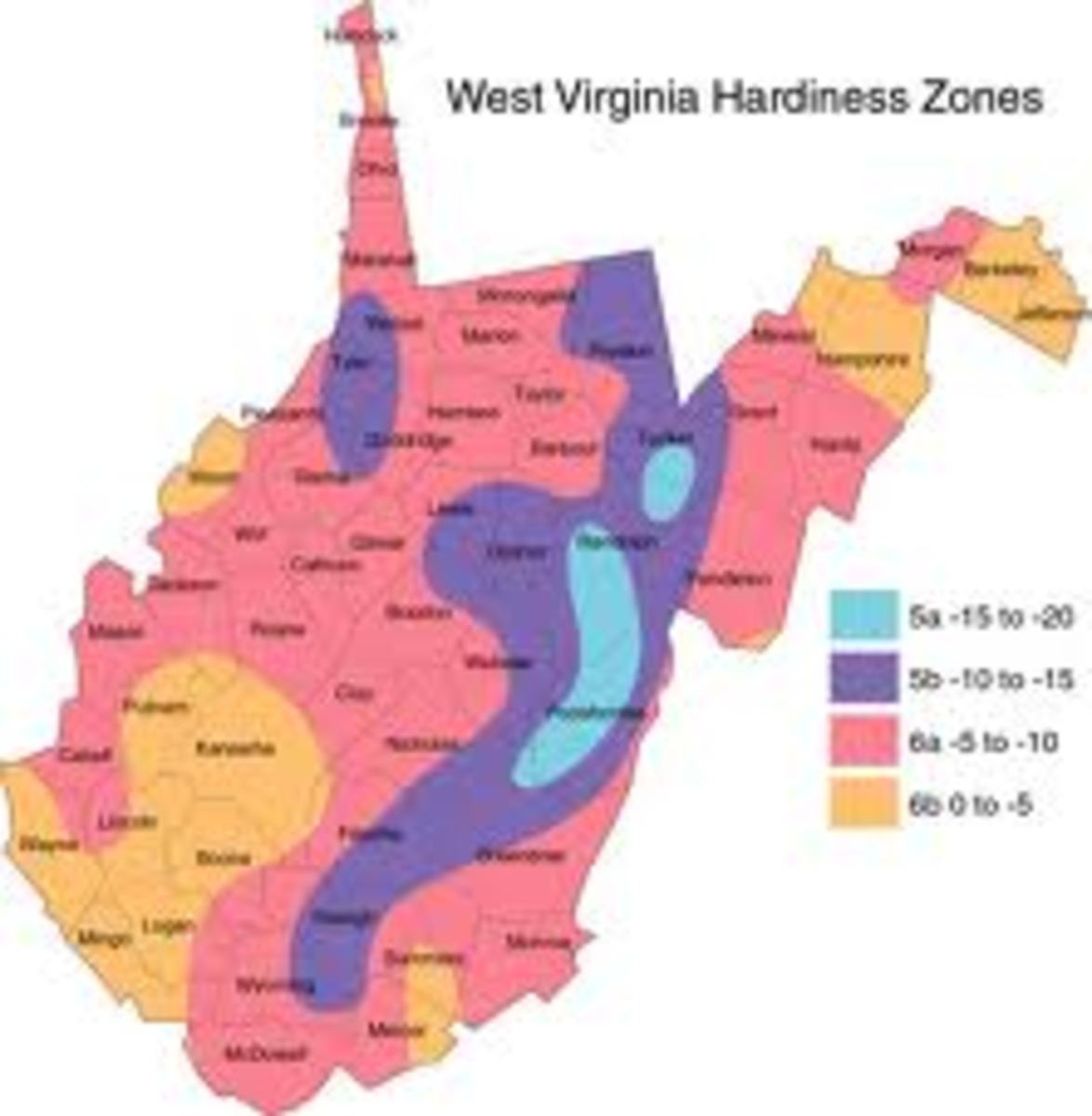 -is-west-virginia-a-good-state-to-go-off-the-grid