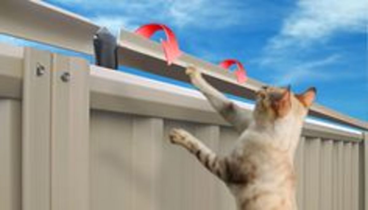 Cat Fence Rollers make it impossible for cat to get a hand-hold