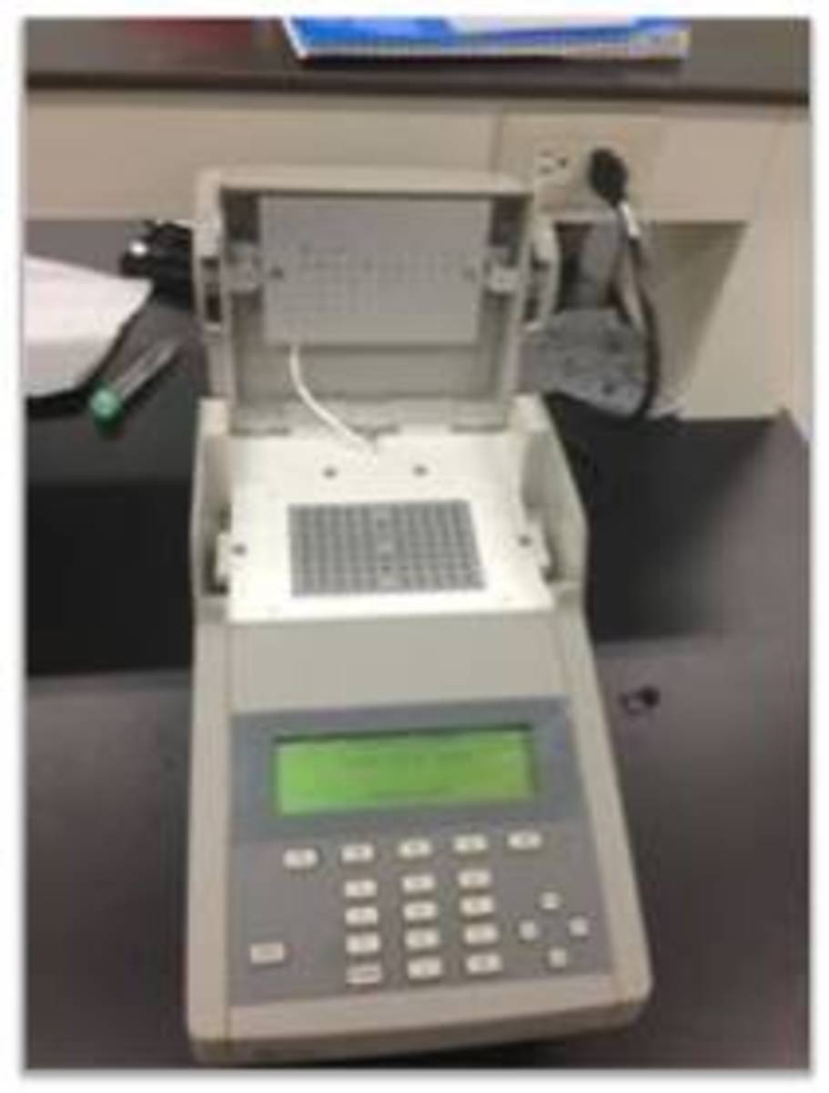 A thermal cycler or thermocycler allows a PCR reaction to occur